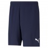 TeamRise Short PAFC