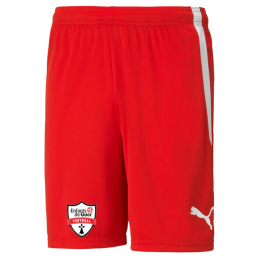 TeamLIGA Shorts Enfants de...